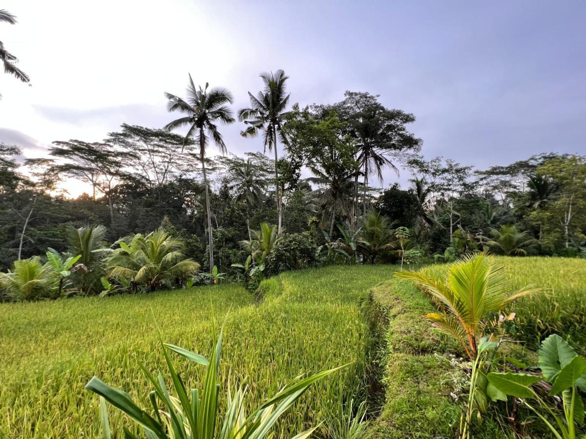 Villa Uma Mupu Retreat Payangan Exterior foto